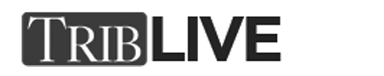 APPP992013-article-65-incorporated-survey-featured-in-investigative-story-on-military-veterans.jpg